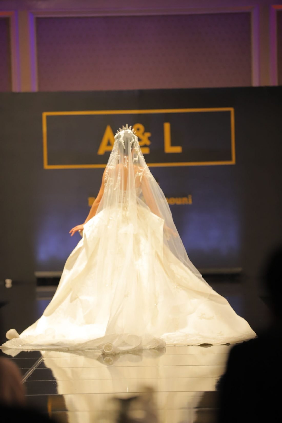 Bridal Dress 1 - Image 2